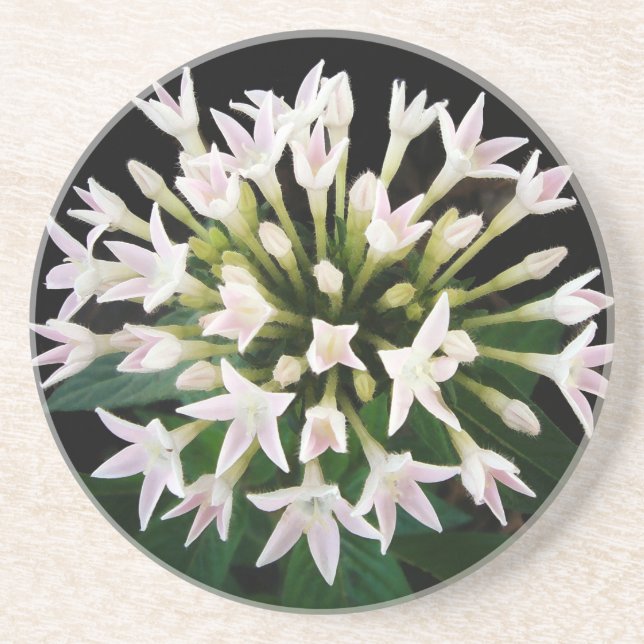 Dessous De Verre En Grès Pentas blancs (Devant)