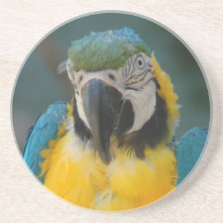 Dessous De Verre En Grès perroquet