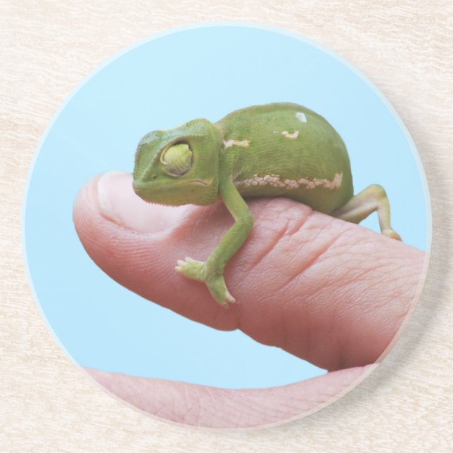 Dessous De Verre En Grès Perspective de caméléon de bébé (Devant)