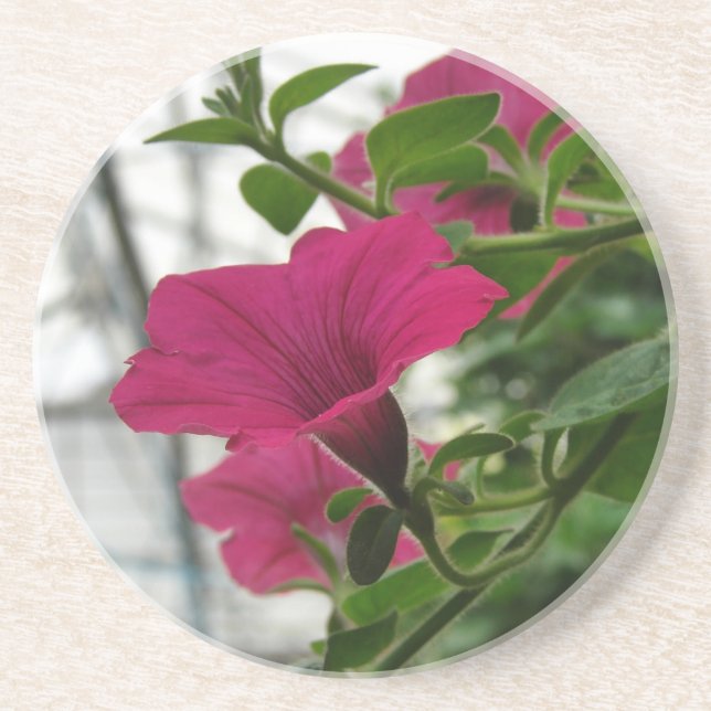 Dessous De Verre En Grès Petunia (Devant)
