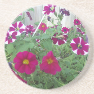 Dessous De Verre En Grès Pétunias rose