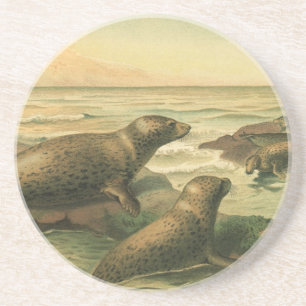 Dessous De Verre En Grès Phoques léopards, Animaux aquatiques vintage Vie m