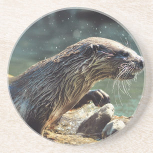 Dessous De Verre En Grès Photo animalière de River Otter Animal-lover
