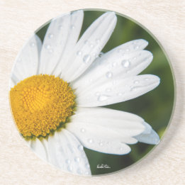 Dessous De Verre En Grès photo, une margueritte, font vert
