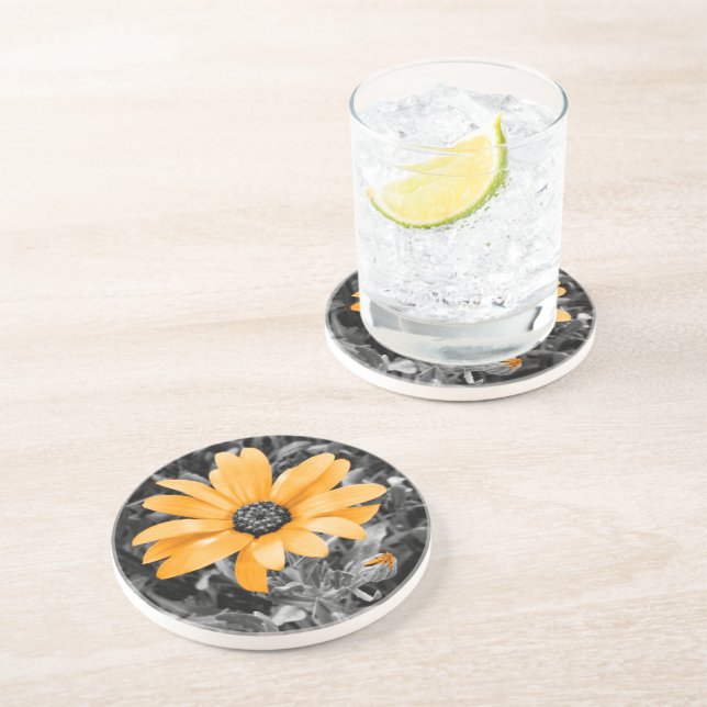 Dessous De Verre En Grès Photographie de marguerite africaine du printemps (Côté)