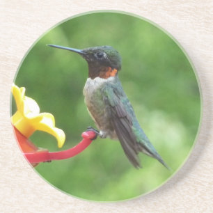 Dessous De Verre En Grès Photographie d'oiseau Colibri à gorge rubis