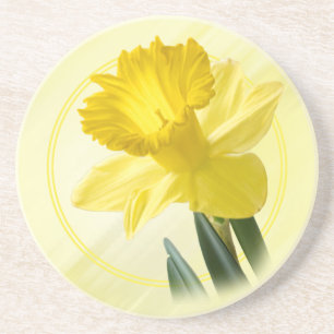 Dessous De Verre En Grès Photos florales Pic de la nature jonquille