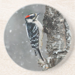 Dessous De Verre En Grès Pic Downy en neige - Photo originale