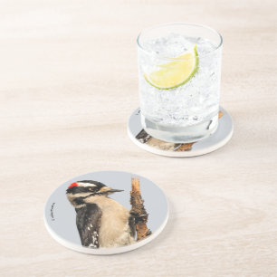 Dessous De Verre En Grès Pic Downy mou sur arbre aux fruits