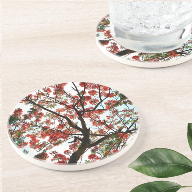 Dessous De Verre En Grès Pierre flamboyante Royal Poinciana (Créateur téléchargé)