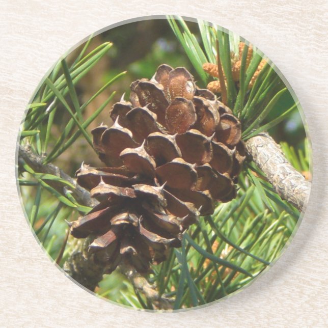 Dessous De Verre En Grès Pinecone pendant le sun. (Devant)