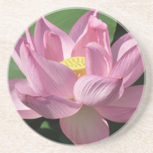 Dessous De Verre En Grès Pink Lotus Flower IV