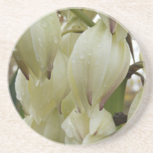 Dessous De Verre En Grès Plante du Yucca