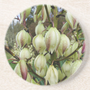 Dessous De Verre En Grès Plante du Yucca