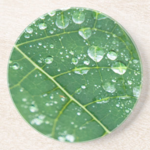 Dessous De Verre En Grès Pluie sur Papaya Leaf