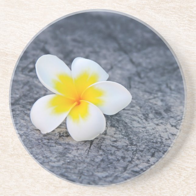 Dessous De Verre En Grès Plumeria (Devant)