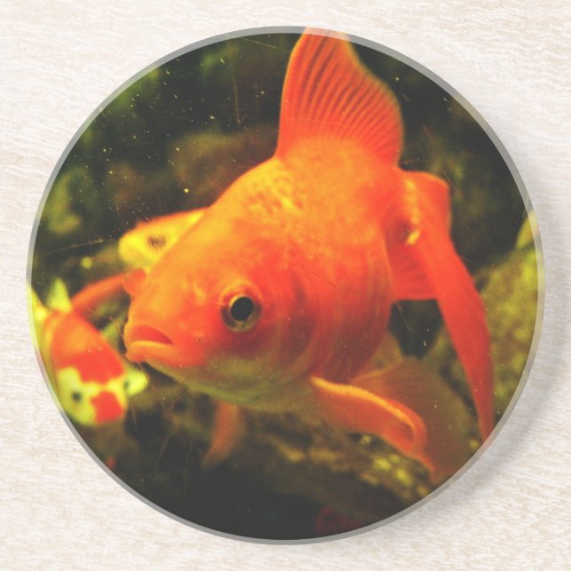 Dessous De Verre En Grès Poisson doré (Devant)