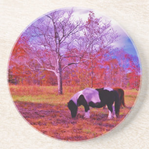 Dessous De Verre En Grès PONY dans un champ de couleur PLANCHE