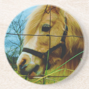 Dessous De Verre En Grès Pony miniature blond / Cheval Ciel bleu
