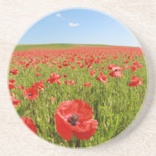 Dessous De Verre En Grès Poppy field - Stunning!