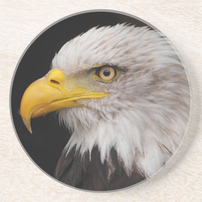 Dessous De Verre En Grès Portrait d'aigle (Devant)