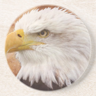 Dessous De Verre En Grès Portrait d'aigle à tête blanche