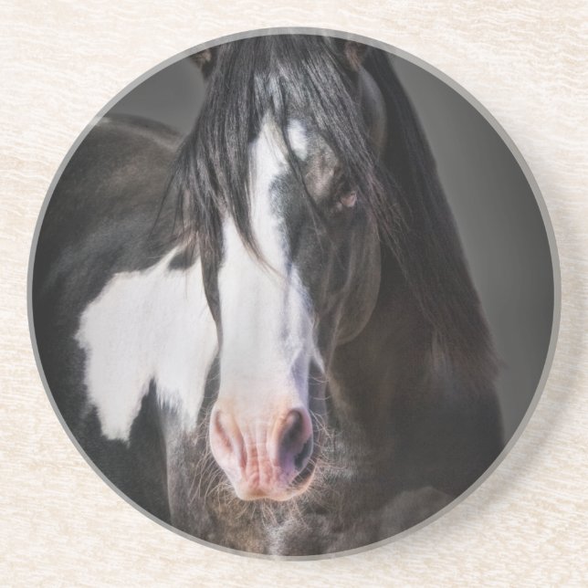 Dessous De Verre En Grès Portrait de cheval II (Devant)