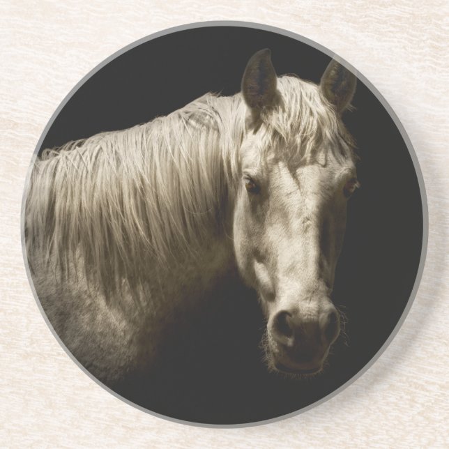 Dessous De Verre En Grès Portrait de cheval VI (Devant)