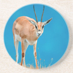 Dessous De Verre En Grès Portrait de femelle de la gazelle de Grant (Gazell