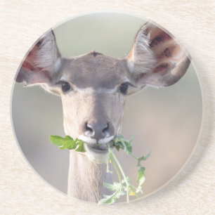 Dessous De Verre En Grès Portrait de Kudu