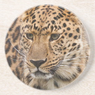 Dessous De Verre En Grès Portrait d'un léopard