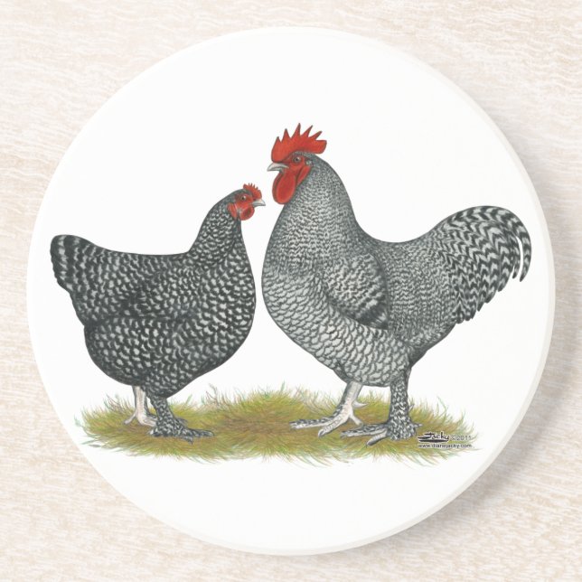 Dessous De Verre En Grès Poulets de Maline (Devant)