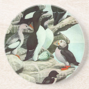 Dessous De Verre En Grès Puffins vintages et oiseaux aquatiques de Louis Fu