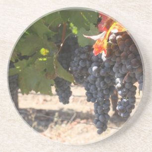 Dessous De Verre En Grès Raisins de pays de vin
