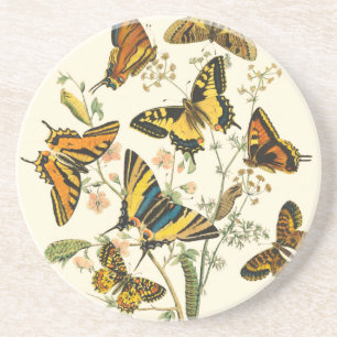 Dessous De Verre En Grès Rassemblement coloré de papillons et de chenilles