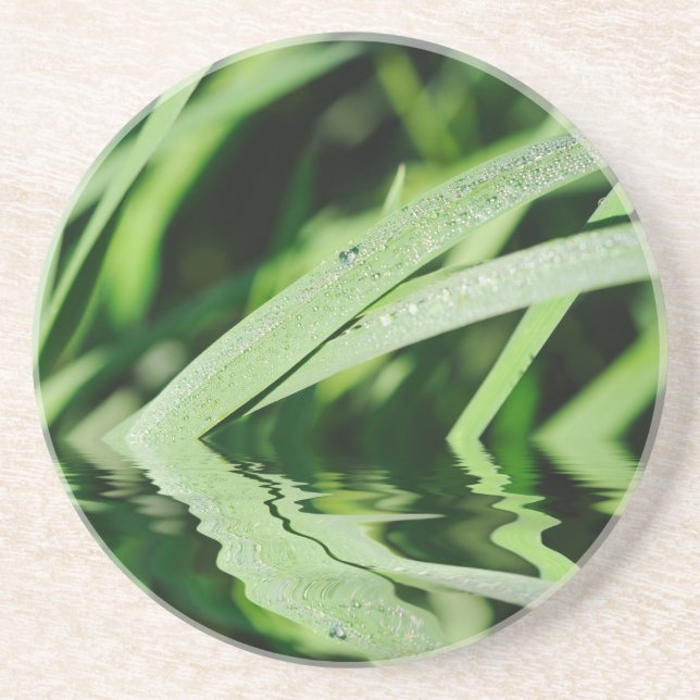 Dessous De Verre En Grès reflets d'herbe (Devant)