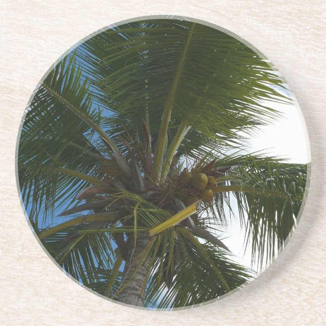 Dessous De Verre En Grès Regard sur le palmier à coco Nature tropicale (Devant)