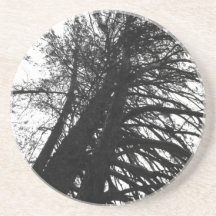 Regardez dans les arbres