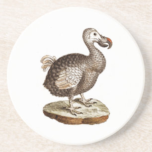 Dessous De Verre En Grès Rétros 1700s d'oiseaux de drontes d'oiseau vintag