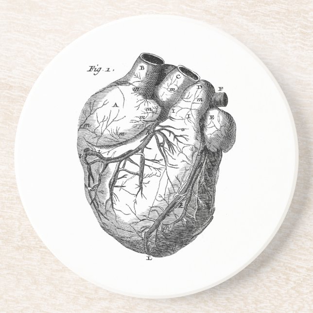 Dessous De Verre En Grès Rétros coeurs cardiaques d'anatomie de coeur (Devant)