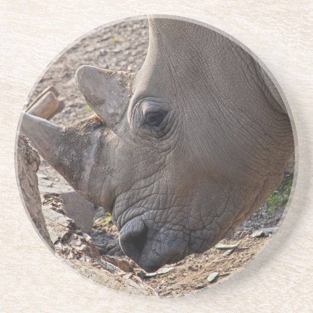 Dessous De Verre En Grès Rhinoceros (Devant)