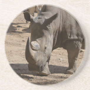 Dessous De Verre En Grès Rhinocéros Rutting