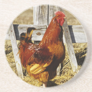 Dessous De Verre En Grès Rhode Island Red Rooster