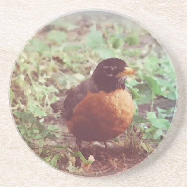 Dessous De Verre En Grès Robin (Devant)