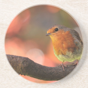 Dessous De Verre En Grès Robin sur une branche