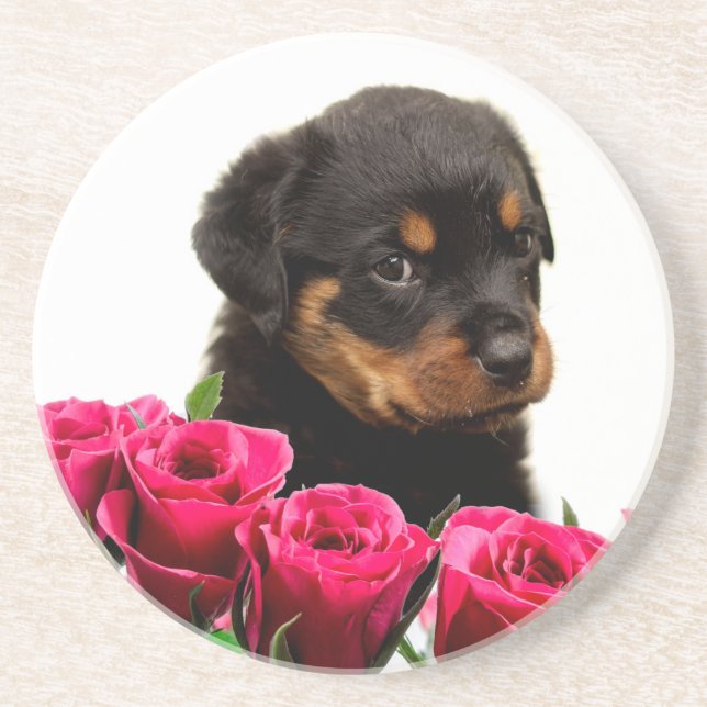 Dessous De Verre En Grès Rose Valentin Rottweiler Puppy (Devant)