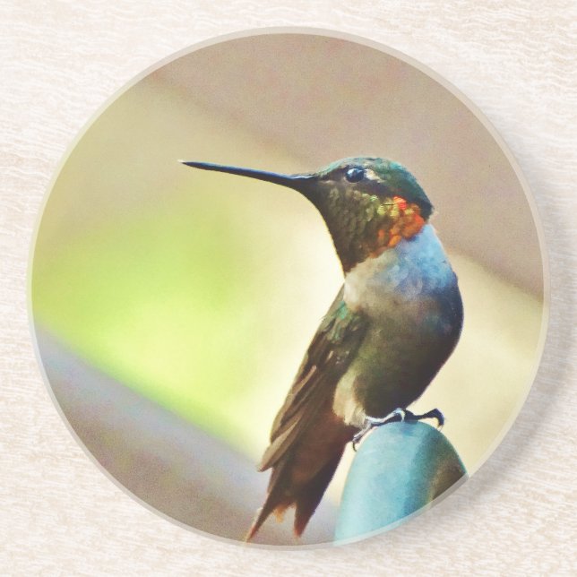 Dessous De Verre En Grès Ruby perché et petit colibri vert (Devant)