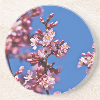 Dessous De Verre En Grès Sakura Cerry Blossoms Touché Bleu
