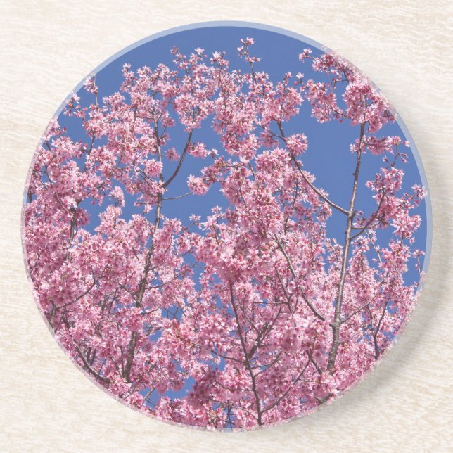 Dessous De Verre En Grès Sakura Cherry Fleurit Dans Le Bleu (Devant)