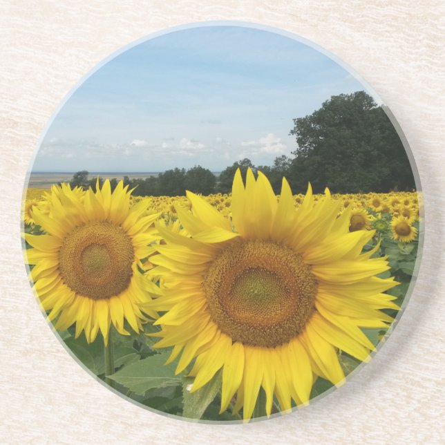 Dessous De Verre En Grès Sandstone Coaster avec Sunflower (Devant)